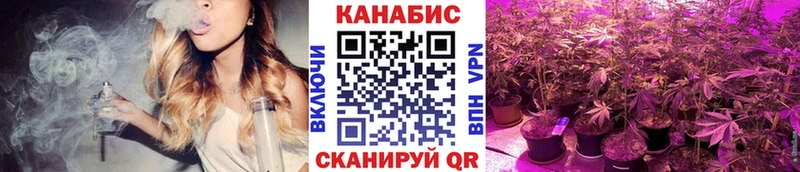 купить наркотик Могоча Шишки марихуана Bruce Banner